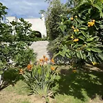 Anire - Vacanze Holiday home *