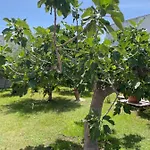 Anire - Vacanze Holiday home Taranto