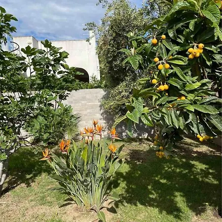 Anire Casa de Férias *