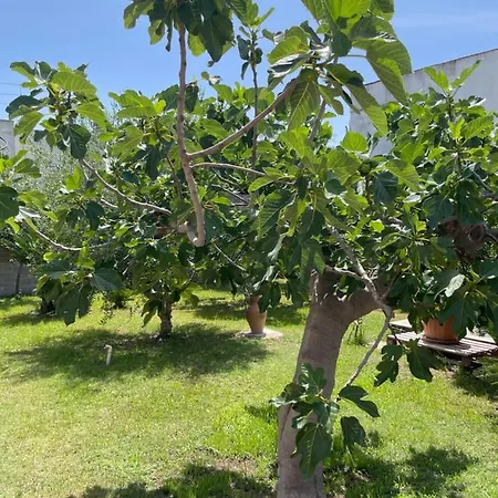 Anire - Case Vacanze Semesterbostad Taranto