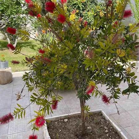 Anire Σπίτι διακοπών