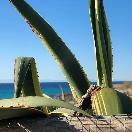 Anire Ταράντο