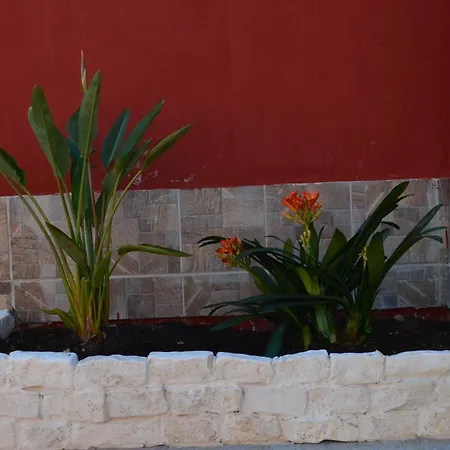 Anire - Case Vacanze Semesterbostad Taranto