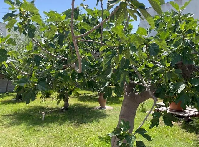 Anire - Vacanze Feriehus Taranto