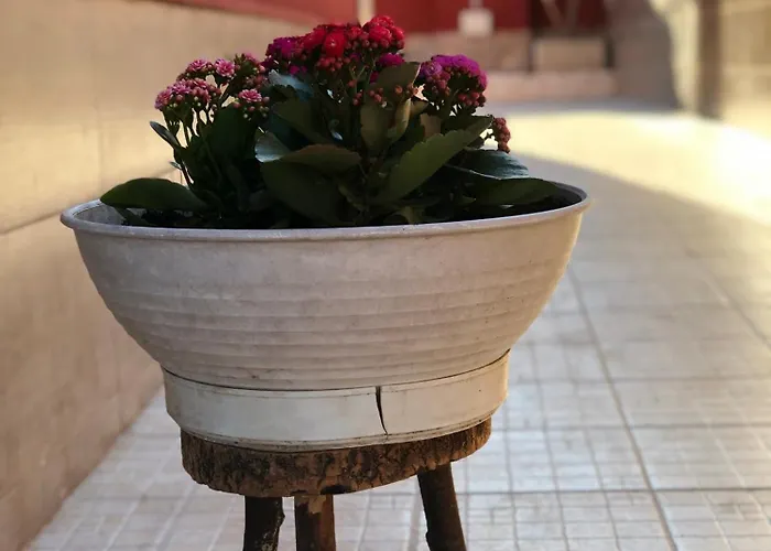 Feriehus Anire - Vacanze *